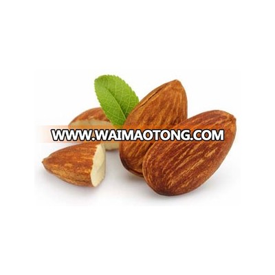 Best Quality Almond Nuts / Raw Natural Almond Nuts / Organic Bitter Almonds