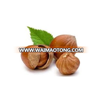 Premium Quality Grade A Natural Raw Hazelnut / Organic Grade A High Quality Hazelnut Hazelnut buyers