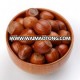 High quality Raw hazelnut in shell price