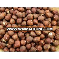 Good Quality Raw Hazelnut Roasted Hazelnut in Bulk For Sale