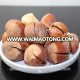 Special grade natural raw hazelnut from Chinese